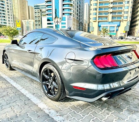 Gray Ford Mustang EcoBoost 2020