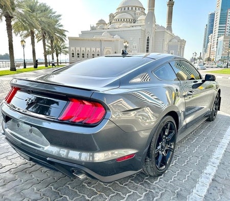 Ford Mustang EcoBoost 2020, photo 4 of 4