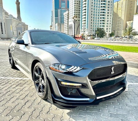 Ford Mustang EcoBoost 2020, photo 3 of 4