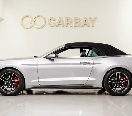 福特 野马 EcoBoost Premium 2020, photo 4 of 4