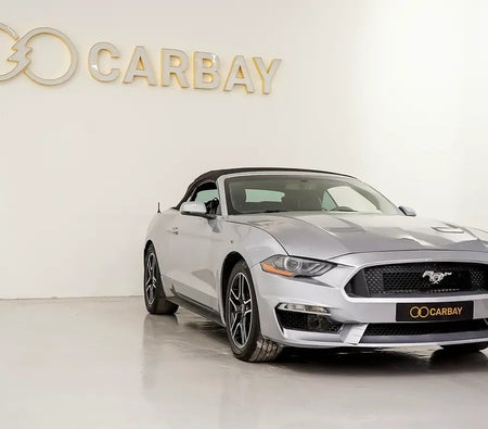 福特 野马 EcoBoost Premium 2020, photo 3 of 4