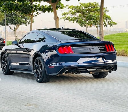 Ford Mustang EcoBoost Premium 2020, photo 4 of 4
