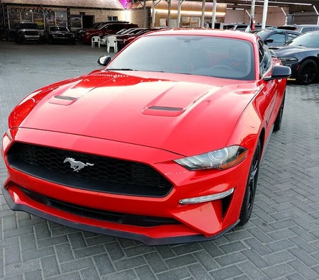 Ford Mustang EcoBoost 2020, photo 4 of 4