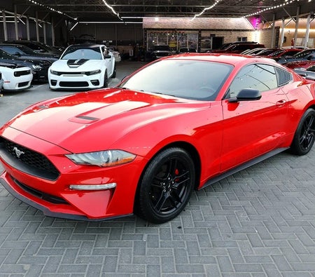 Ford Mustang EcoBoost 2020, photo 2 of 4