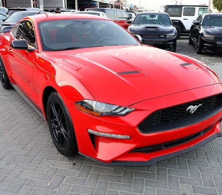 Ford Mustang EcoBoost 2020, photo 3 of 4