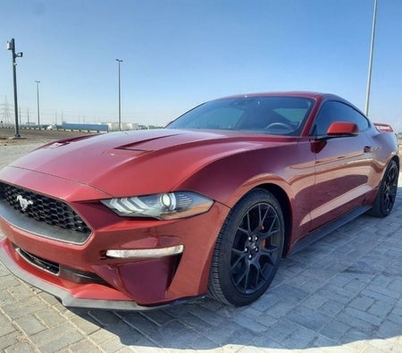 Burgundy Ford Mustang 2020