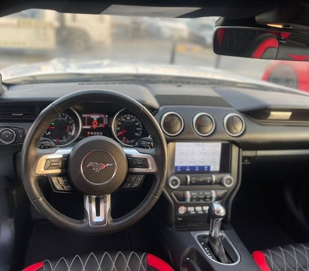 Ford Mustang Premium 2021, photo 4 of 4