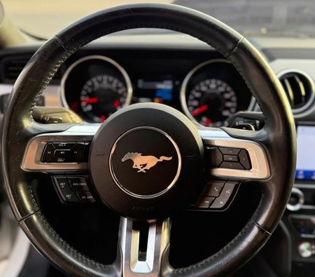 Ford Mustang GT 2021, photo 3 of 4