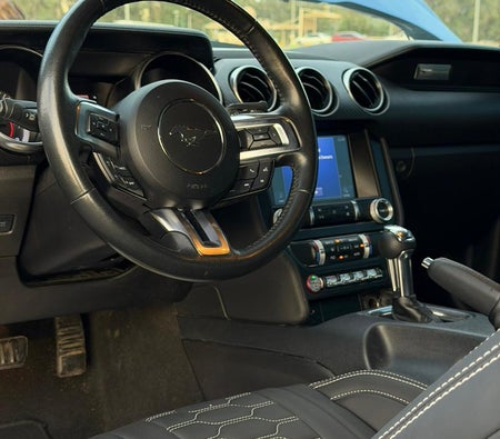 Ford Mustang EcoBoost Premium 2021, photo 3 of 4