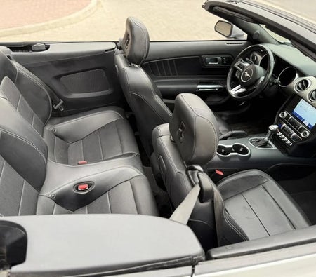 Ford Mustang EcoBoost 2022, photo 3 of 4