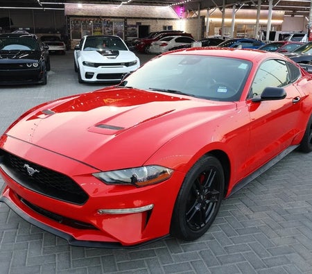 Ford Mustang Premium 2022, photo 2 of 4