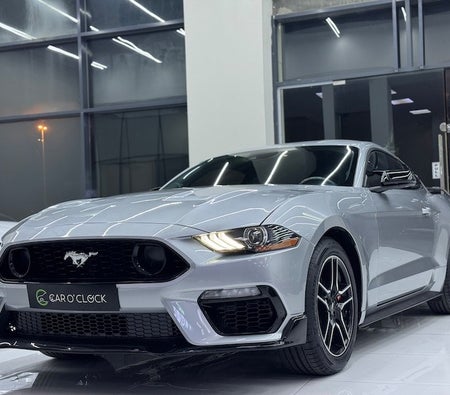 Silver Ford Mustang EcoBoost 2022