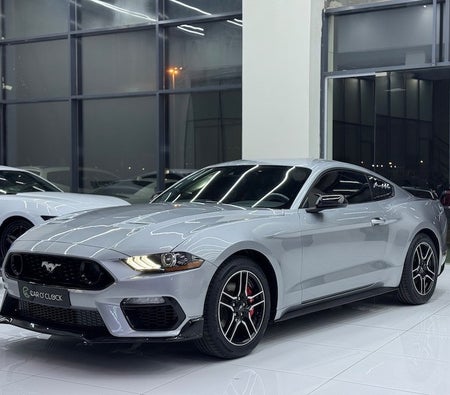 Silver Ford Mustang EcoBoost 2022