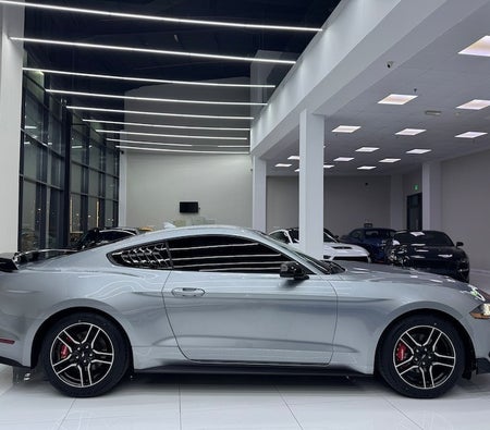 Silver Ford Mustang EcoBoost 2022