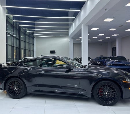 Gray Ford Mustang EcoBoost Premium 2022