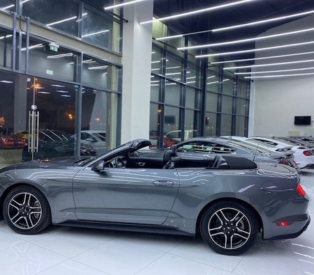 Gray Ford Mustang EcoBoost Premium 2022