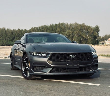 Ford Mustang 2024, photo 2 of 4