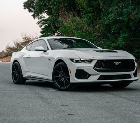 Ford Mustang 2024, photo 2 of 4