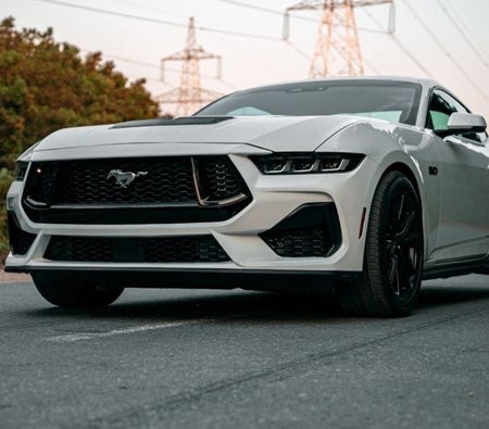 Ford Mustang 2024, photo 3 of 4