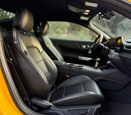 Ford Mustang 2024, photo 4 of 4