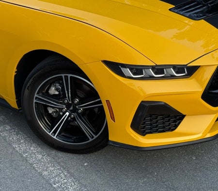 Ford Mustang 2024, photo 2 of 4