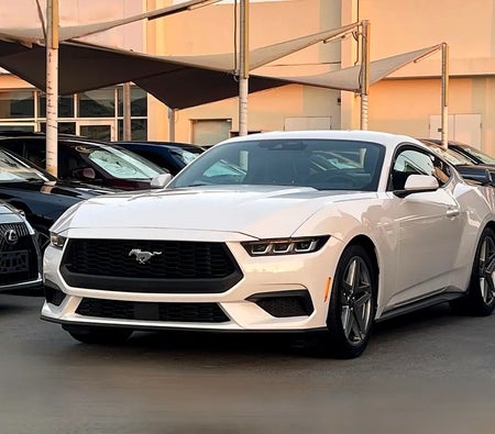 Ford Mustang EcoBoost 2024, photo 3 of 4