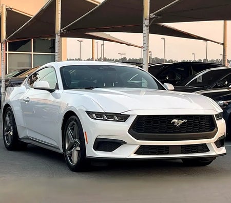 Ford Mustang EcoBoost 2024, photo 2 of 4