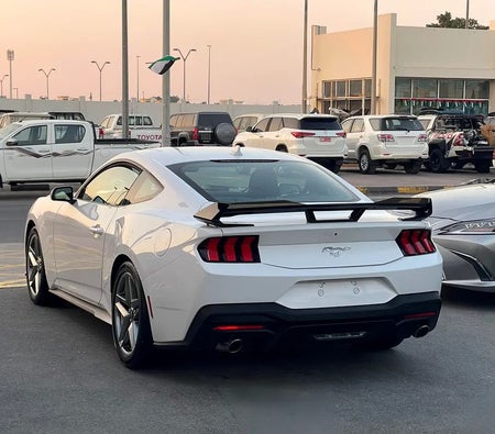 Ford Mustang EcoBoost 2024, photo 4 of 4