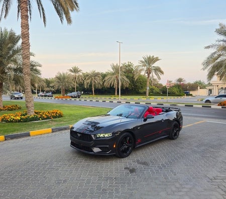 Black Ford Mustang EcoBoost 2024
