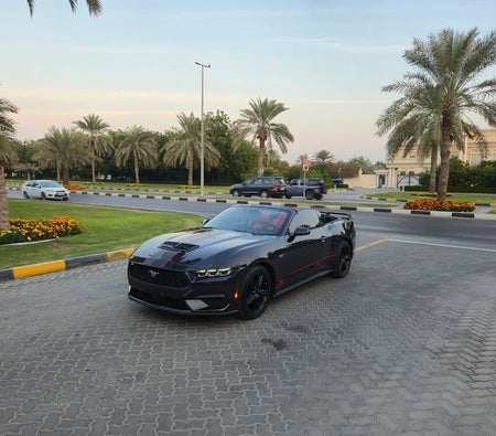 Black Ford Mustang EcoBoost 2024