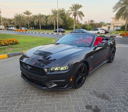 Black Ford Mustang EcoBoost 2024