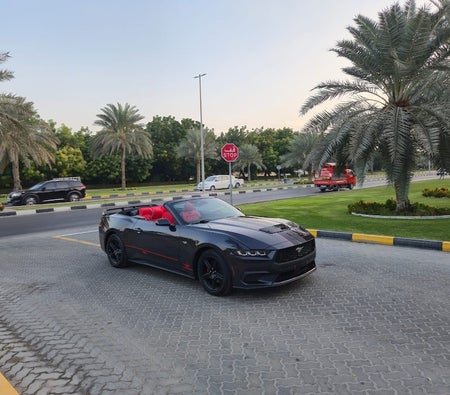 Black Ford Mustang EcoBoost 2024