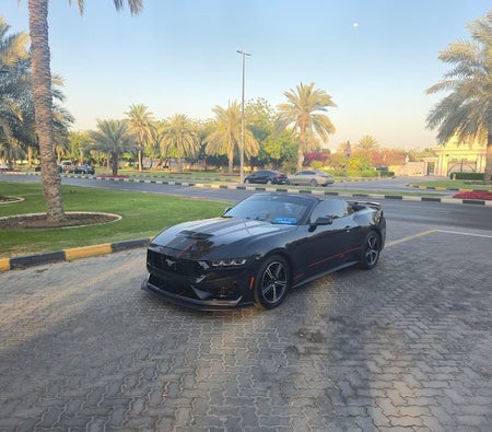 Black Ford Mustang EcoBoost Premium 2024