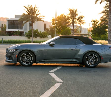 gris Ford Mustang 2024