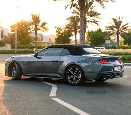 gris Ford Mustang 2024