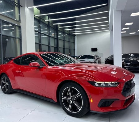 Red Ford Mustang EcoBoost 2024