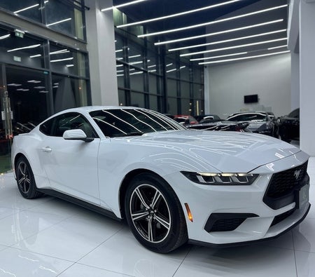 Blanc Ford Mustang EcoBoost Premium 2024