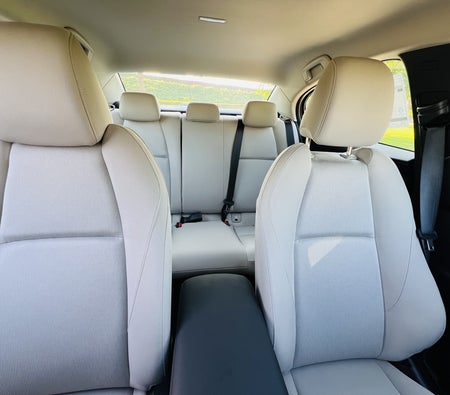 Ford Territory 2024, photo 4 of 4