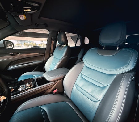 Blanc Ford Territory 2025