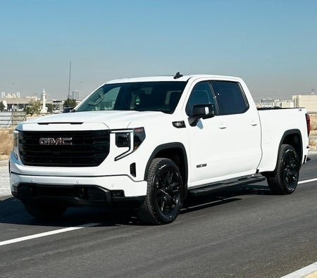GMC Sierra 1500 Elevation 2024, photo 3 of 4