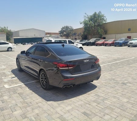 Gris Genesis G80 Prestige 2018