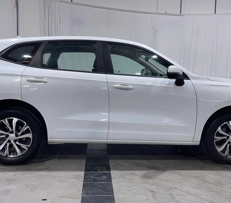 Weiß Haval Jolion MEDIUM 2024
