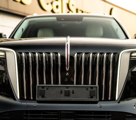 Hongqi E-HS9 2022, photo 2 of 4