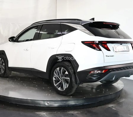  Hyundai Tucson 1.6 CRDi 136 7DCT Premium Cuir 2024
