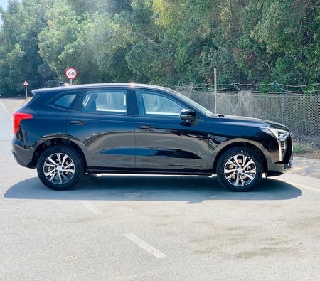 Haval Jolion 2023, photo 4 of 4