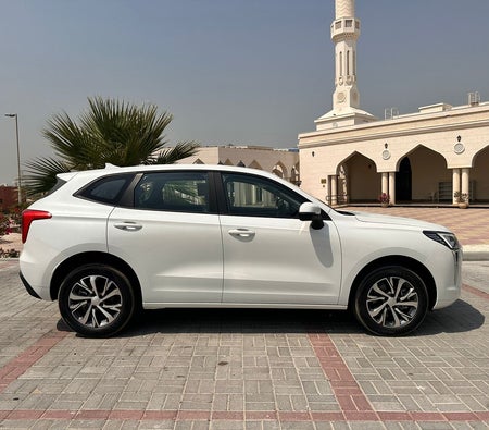 White Haval Jolion 2024 White Haval Jolion 2024