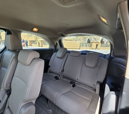 Blau Honda Odyssey 2022
