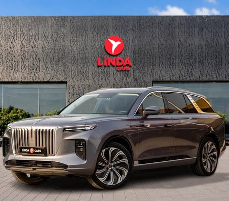 Hongqi E-HS9 Executive 2024, photo 1 of 4