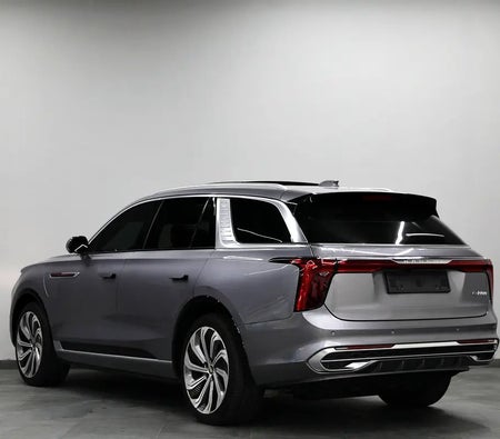 Hongqi E-HS9 2023, photo 4 of 4