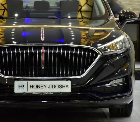 Hongqi H5 Luxury 2022, photo 4 of 4